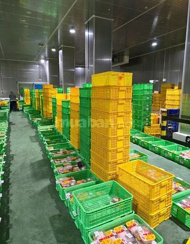 Tuyển GẤP 50 Nhân viên CHIA HÀNG