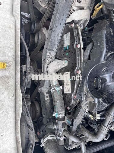 Ford Transit 2023 Xe ít đi 7v lên nhiều đồ chơi