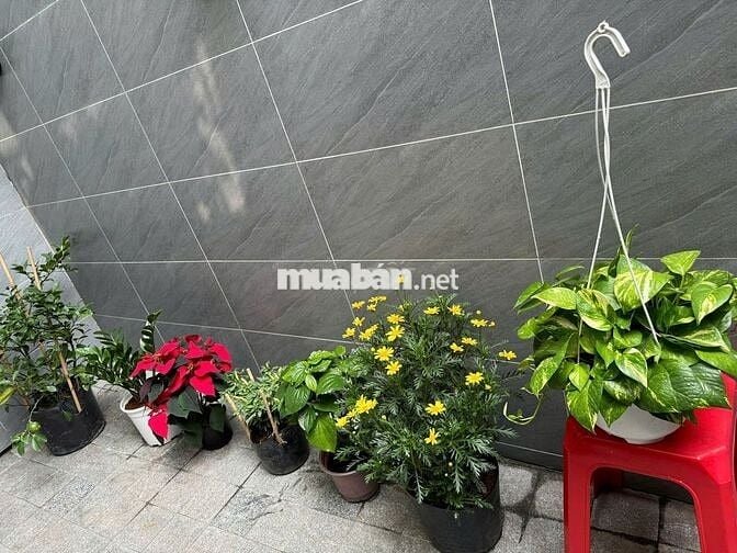 NHÀ HẺM XE HƠI 5M ĐƯỜNG SỐ 4, CÔNG VIÊN LÀNG HOA GÒ VẤP, 6 TỶ, HH 3%