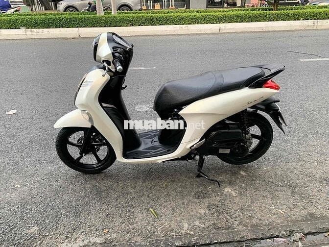 ✅✅ JANUS MẨU 2023 SMATKEY TRẮNG CỰC ĐẸP MÁY ÊM RU