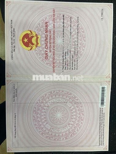 Chính chủ bán gấp nhà mặt tiền Lê Thị Kim Hóc Môn