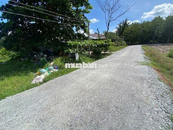 Full thổ cư gần KCN, sổ sẵn. 10m mặt tiền. 230tr