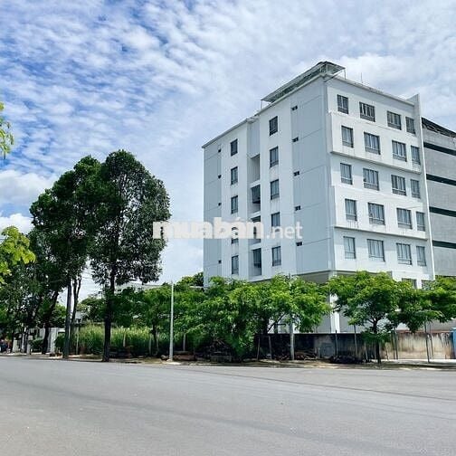 Cho thuê Căn hộ dịch vụ 2PN 66m2 Full nội thất tại Thủ Dầu Một, BD