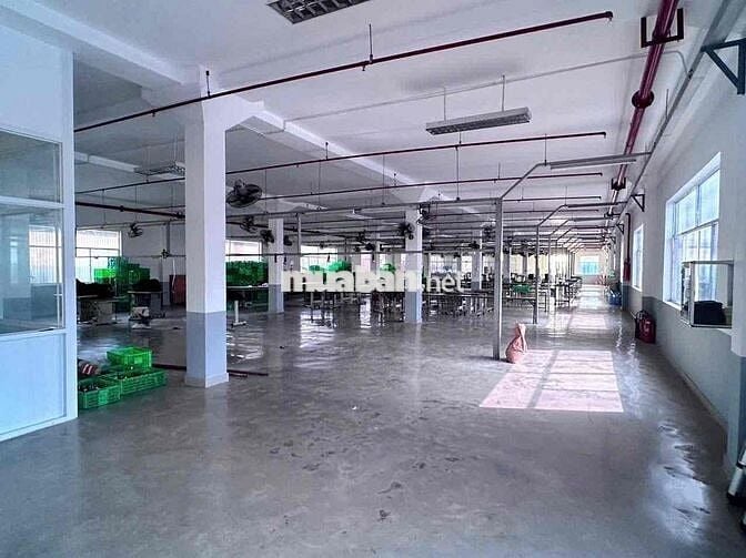 CHO THUÊ KHO XƯỞNG 3.060M² – KCN CỤM LỢI BÌNH NHƠN, TÂY NINH