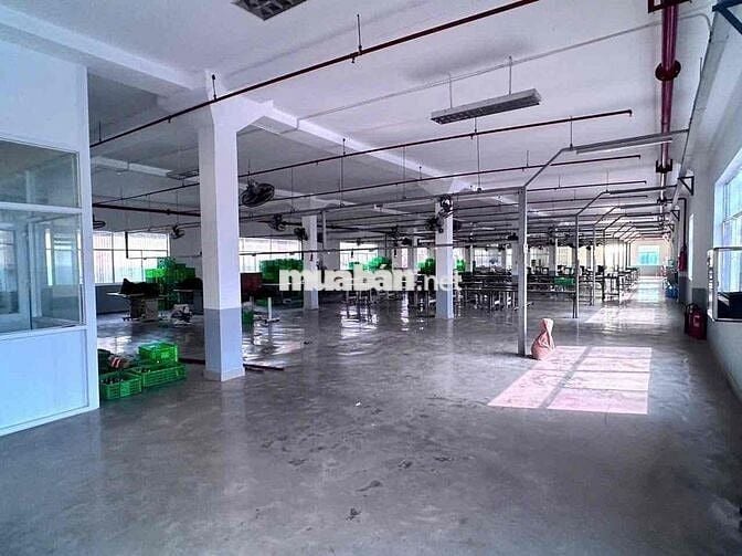 CHO THUÊ KHO XƯỞNG 3.060M² – KCN CỤM LỢI BÌNH NHƠN, TÂY NINH