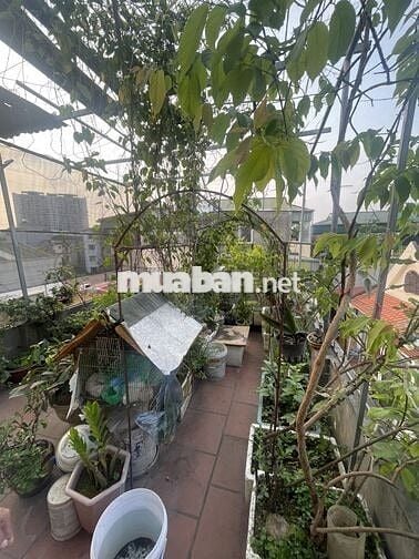 sang xịn ***, Kim Giang, plô quân đội, oto, 42m2 x4tầng, ở ngay