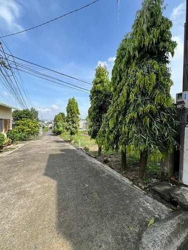 CHO THUÊ ĐẤT RỘNG 1344M² (28m x 48m)