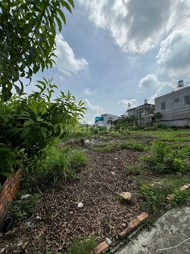 CHO THUÊ ĐẤT RỘNG 1344M² (28m x 48m)