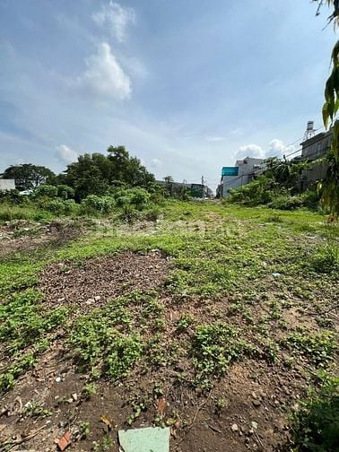 CHO THUÊ ĐẤT RỘNG 1344M² (28m x 48m)