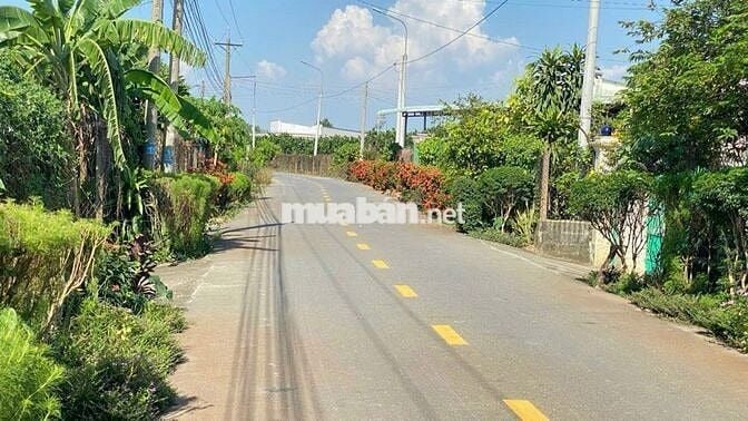 Cần Bán 2 Lô Liền Kề Mặt Tiền Đường Kinh Doanh, Nghỉ Dưỡng