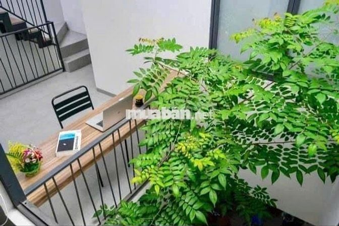 🏡 BIỆT THỰ MINI – SỔ RIÊNG – TÂN TRIỀU 🏡