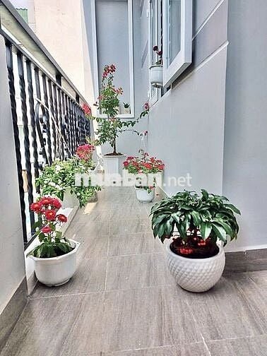 Nhà ngang 5m HXH Huỳnh Văn Nghệ – 76m² 3PN Tân Sơn, Gò Vấp – 6.6 tỷ