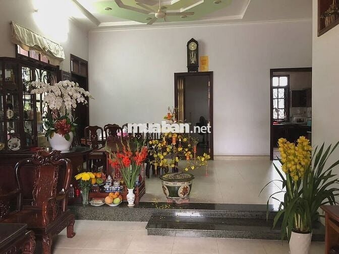 Bán nhà Dịch Vọng Hậu, Cầu Giấy, Biệt thự sân vườn, Diện tích rộng Bán nhà Dịch Vọng Hậu, Cầu Giấy, Biệt thự sân vườn, Diện tích rộng