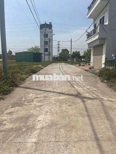 💥 SIÊU HÓT 👉 ĐẤT DỊCH VỤ quất Lâm - quất Động - thường Tín - THƯỜNG