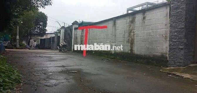 🙋‍♂️400M THỔ CƯ GẦN CHỢ HÓC MÔN ĐƯỜNG 2 XE 7 CHỖ NÉ NHAU