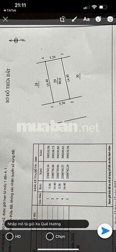 💥 SIÊU HÓT 👉 ĐẤT DỊCH VỤ quất Lâm - quất Động - thường Tín - THƯỜNG