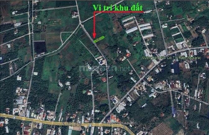 Chính chủ bán đất đường Cây Gõ, An Phú, Củ Chi