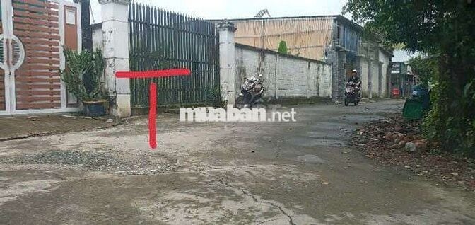 🙋‍♂️400M THỔ CƯ GẦN CHỢ HÓC MÔN ĐƯỜNG 2 XE 7 CHỖ NÉ NHAU