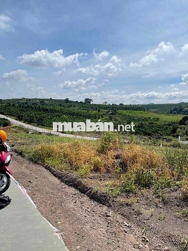 BÁN ĐẤT 1000m2 giá 760trieu đã lên thổ cư