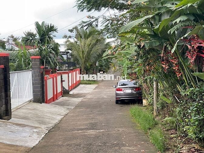 Đất đường 1/5 phường B'Lao - TP.Bảo Lộc DT: 6x35m sẵn 88m thổ cư -2.1t