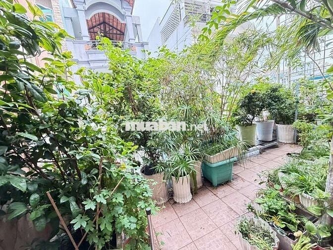 🚗🏡 43m2 3 tầng BTCT Thành Thái Quận 10 hẻm oto 11 tỷ thương lượng