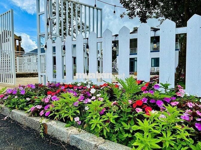 HOMESTAY BẢO LỘC 659M2 SẴN 300 THỔ CƯ (12X60MXNỞ HẬU) MT HẺM 88 LỮ GIA