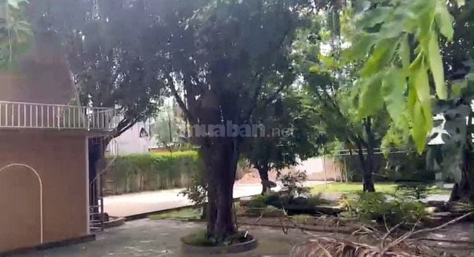 Nhà cho thuê mặt tiền đường Đặng Thúc Vĩnh , Hóc Hôn , DT: 1,500m2