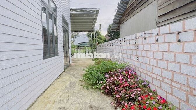 HOMESTAY BẢO LỘC 659M2 SẴN 300 THỔ CƯ (12X60MXNỞ HẬU) MT HẺM 88 LỮ GIA