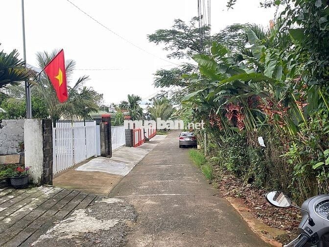 Đất đường 1/5 phường B'Lao - TP.Bảo Lộc DT: 6x35m sẵn 88m thổ cư -2.1t