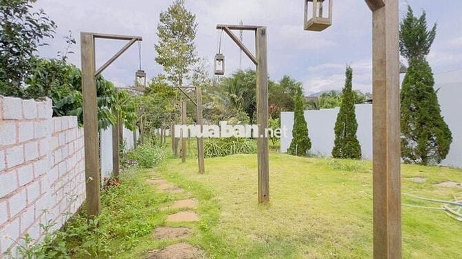 HOMESTAY BẢO LỘC 659M2 SẴN 300 THỔ CƯ (12X60MXNỞ HẬU) MT HẺM 88 LỮ GIA