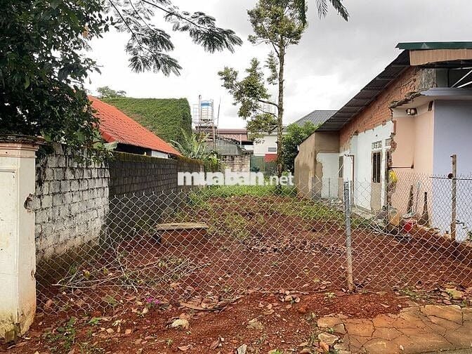 Đất đường 1/5 phường B'Lao - TP.Bảo Lộc DT: 6x35m sẵn 88m thổ cư -2.1t