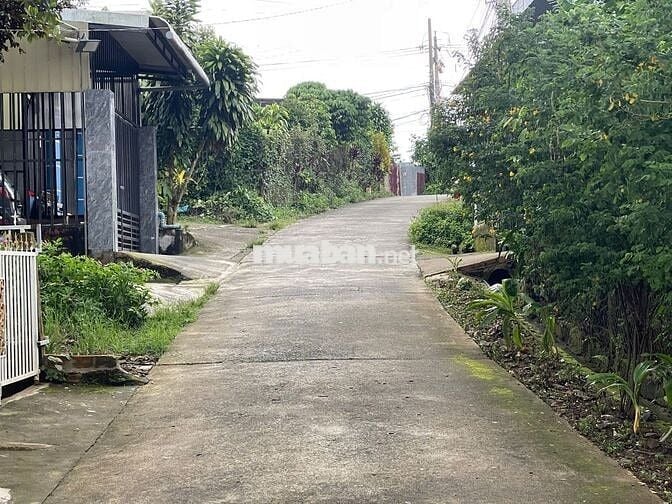 Đất đường 1/5 phường B'Lao - TP.Bảo Lộc DT: 6x35m sẵn 88m thổ cư -2.1t