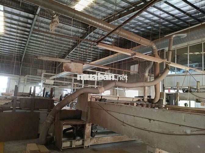 Xưởng 11000m2, chuyên gỗ, giá thuê 1.6 usd/m