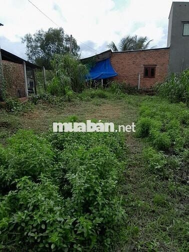 ĐẤT FULL THỔ CƯ Ở TRONG KHU DÂN CƯ ĐỖ THỊ XÍCH - LÊ MINH NHẬT