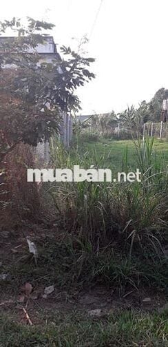 ĐẤT FULL THỔ CƯ Ở TRONG KHU DÂN CƯ ĐỖ THỊ XÍCH - LÊ MINH NHẬT