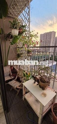 Bán gấp giá rẻ căn 2n2vs full đồ tầng trung S1 Vinhomes Ocean Park