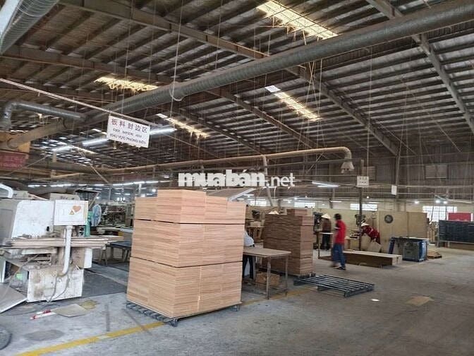 Xưởng 11000m2, chuyên gỗ, giá thuê 1.6 usd/m