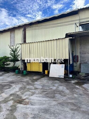 Xưởng xẻ gỗ 13679.2m2 giá 200 triệu, đầy đủ máy móc thiết bị