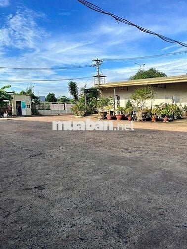 Xưởng xẻ gỗ 13679.2m2 giá 200 triệu, đầy đủ máy móc thiết bị