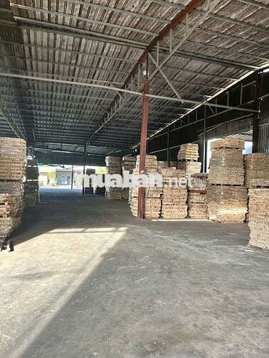 Xưởng xẻ gỗ 13679.2m2 giá 200 triệu, đầy đủ máy móc thiết bị