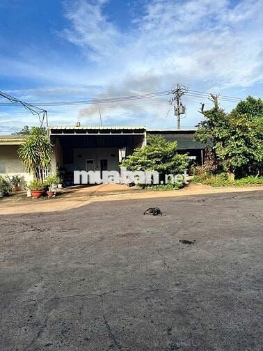 Xưởng xẻ gỗ 13679.2m2 giá 200 triệu, đầy đủ máy móc thiết bị