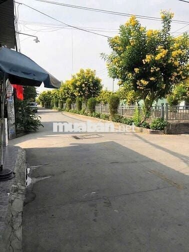 Cho thuê mt tl 37 kinh doanh tốt dt 6×15 giá 7tr chốt