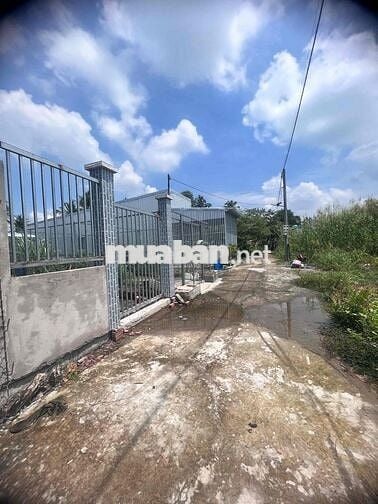 Chỉnh chủ Bán 2 nền đất 5x20 Full Thổ,833B-HH 3%