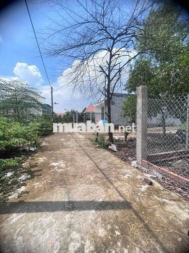 Chỉnh chủ Bán 2 nền đất 5x20 Full Thổ,833B-HH 3%