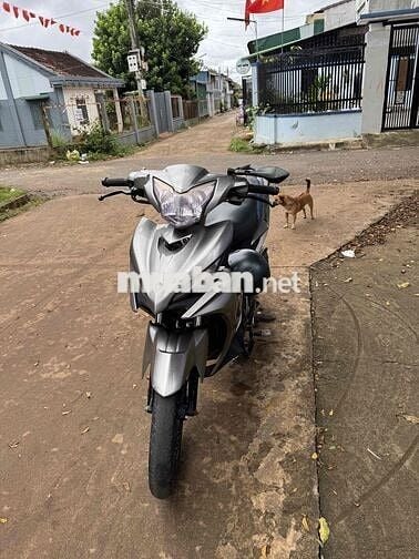 xe cà vẹt xám đỏ