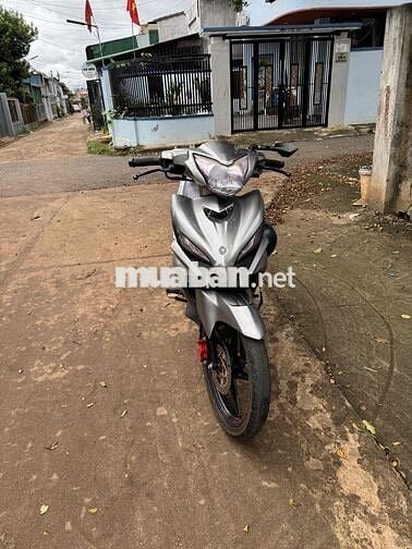 xe cà vẹt xám đỏ