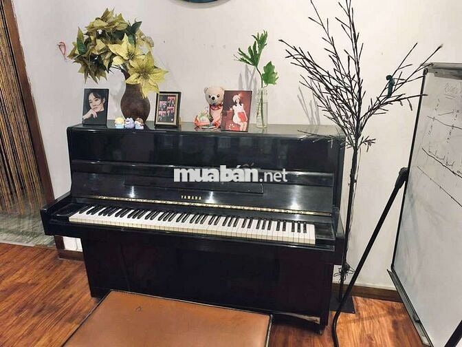 Căn Hộ Hai Bà Trưng 148m² – 14 Tỷ – Đa Kao, Quận 1 💎