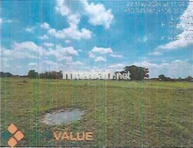 Bán ĐGTS đất tại xã Hiệp Hòa, Tỉnh Tây Ninh