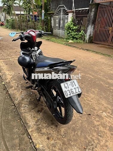 xe cà vẹt xám đỏ