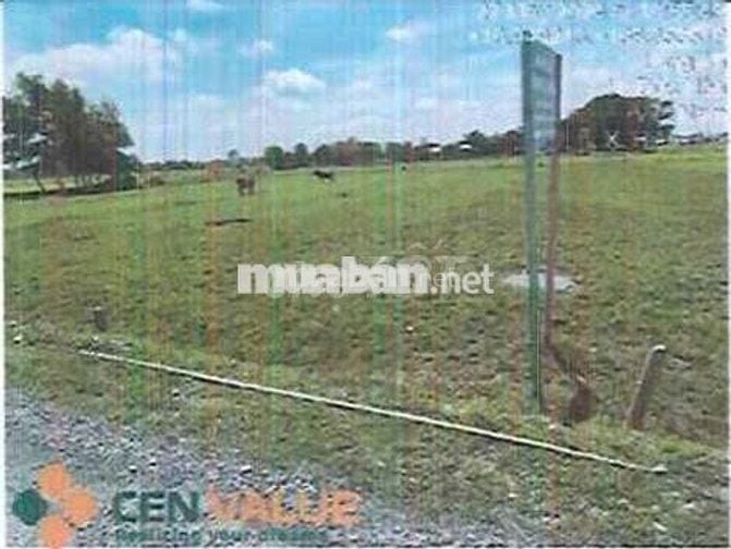 Bán ĐGTS đất tại xã Hiệp Hòa, Tỉnh Tây Ninh